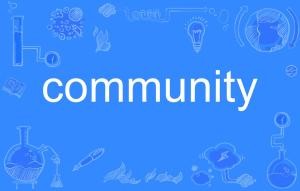 community是什么意思(关于社会组织与社区治理的笔记、草稿)
