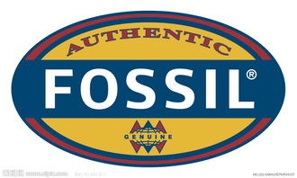 fossil是什么牌子(时尚表的历史3:Fossil成功的秘密)