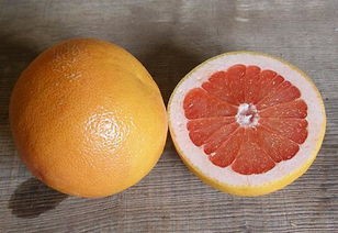 grapefruit中文翻译(记住:“橘子”不是“orange”,别再乱叫了!)