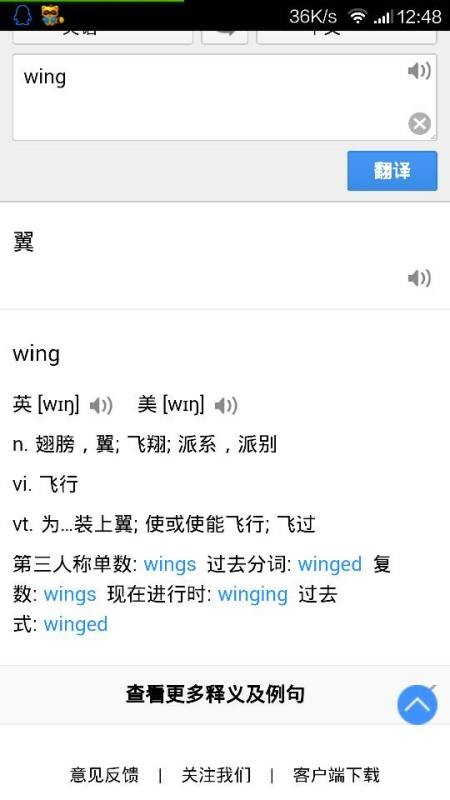 wing是什么意思