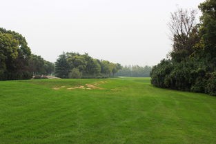 上海高尔夫