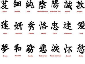 中国汉字的历史演变与发展(汉字的起源与演变)