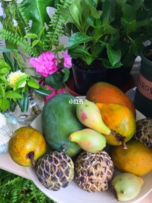 亚热带水果有哪些品种(那些奇异的水果,你吃过几种?)