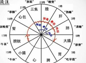 半个时辰是多少时间(十二时辰看懂中国! 你在中国能看到什么?)