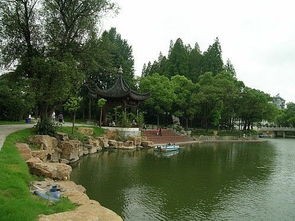 南京白鹭洲公园景点介绍(关于白鹭洲公园你不知道的事)