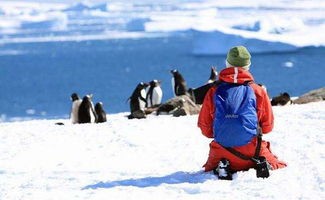 南极旅游攻略详解(南极出行前攻略,你想知道的都在这里!)