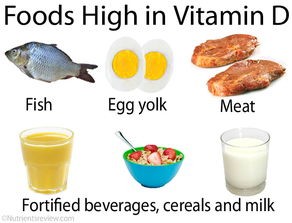 含维生素d的食物和水果蔬菜(各种维生素,到底干啥的?)