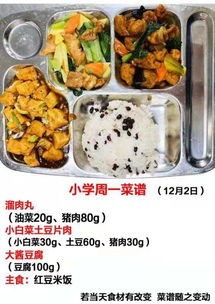 学生菜谱(开学了,分享10道孩子爱吃的菜,胃口好身体壮,学习好)
