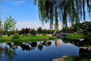 宁波公园排名(宁波十大最值得去的景点)