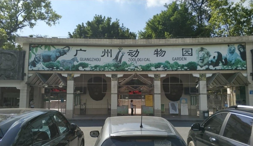 广州动物园门票多少钱2023(春季建议游玩的地方—广州动物园)