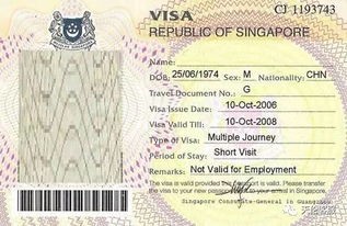 新加坡旅游签证(中国护照和旅行签证办理)