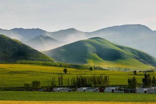 新疆伊犁旅游(4位旅行博主的线路规划,分享详细行程,住宿地)