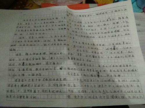 有关传统文化的作文800字(中华传统文化)