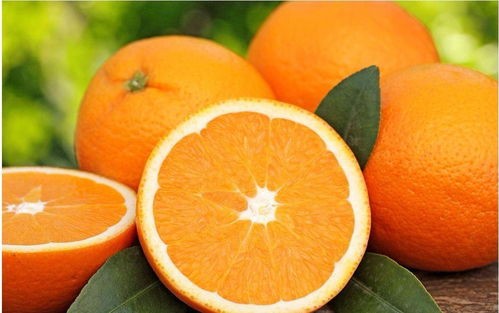 橘子英语(记住:“橘子”不是“orange”,别再乱叫了)