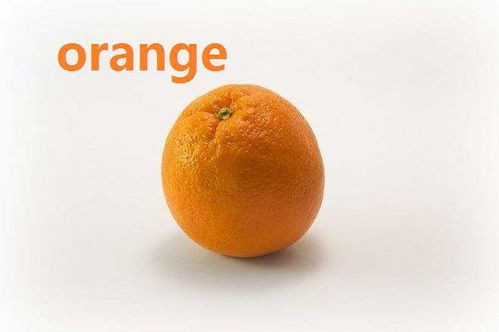 橙子的英文