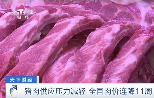 猪肉价格十一连降(11月11日猪价遇冷7连降,发生了啥?)