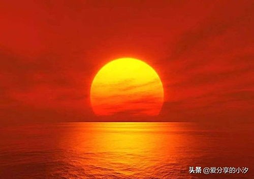 红红的太阳儿歌(张韶涵《红红的太阳》歌词（专辑:红红的太阳）)
