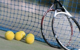 单人网球拍价格(几百块VS上千块,网球拍该如何选?)