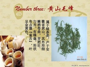 茶文化知识简介(什么是茶文化?)