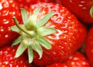草莓英语怎么读