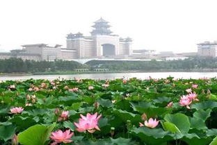 莲花池公园门票多少钱(北京140个景点门票价格、开放时间（1）)
