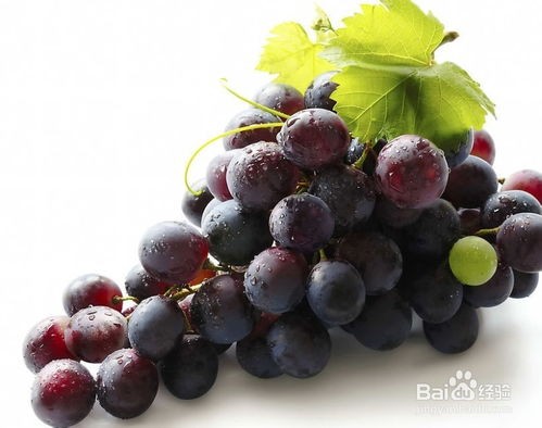 葡萄用英语怎么说grapes(每日趣学英语——水果篇)