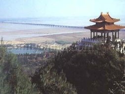 郑州黄河游览区(郑州黄河文化公园梅林花海,与您共赏芳华)