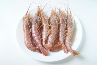 阿根廷红虾怎么做好吃(简单的阿根廷红虾家常做法)