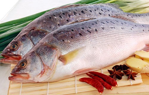 鲈鱼价格2023年市场价(目前北京的菜价)