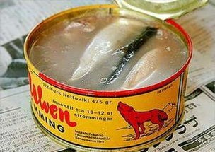 瑞典鲱鱼罐头有多臭(鲱鱼罐头,到底有多臭)