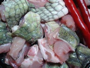 鳄鱼肉价格(柬埔寨路边摊鳄鱼肉每公斤2.5美元!你敢买吗?)