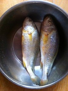 黄花鱼的家常做法清蒸(肉质鲜嫩,味道鲜美的清蒸黄花鱼做法)