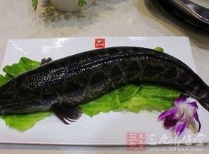 黑鱼怎么做好吃(黑鱼新吃法,好看又好吃,营养解馋)