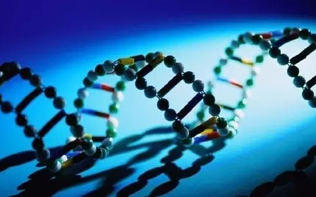 无创dna是检查什么的(无创DNA,你适合做吗?)-易百科