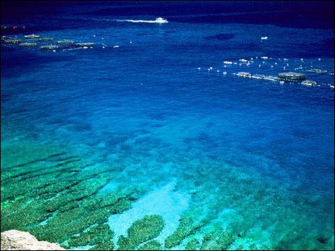 世界上最大的海是哪个(面积相当于半个中国)-易百科