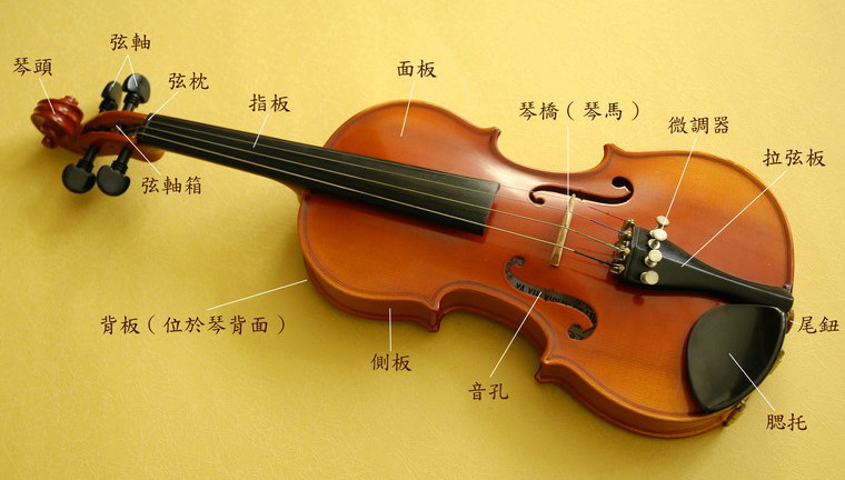 一般小提琴多少钱?(一般买什么价位的?)-易百科